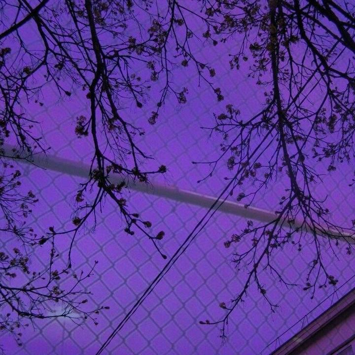 김김다희 프로필