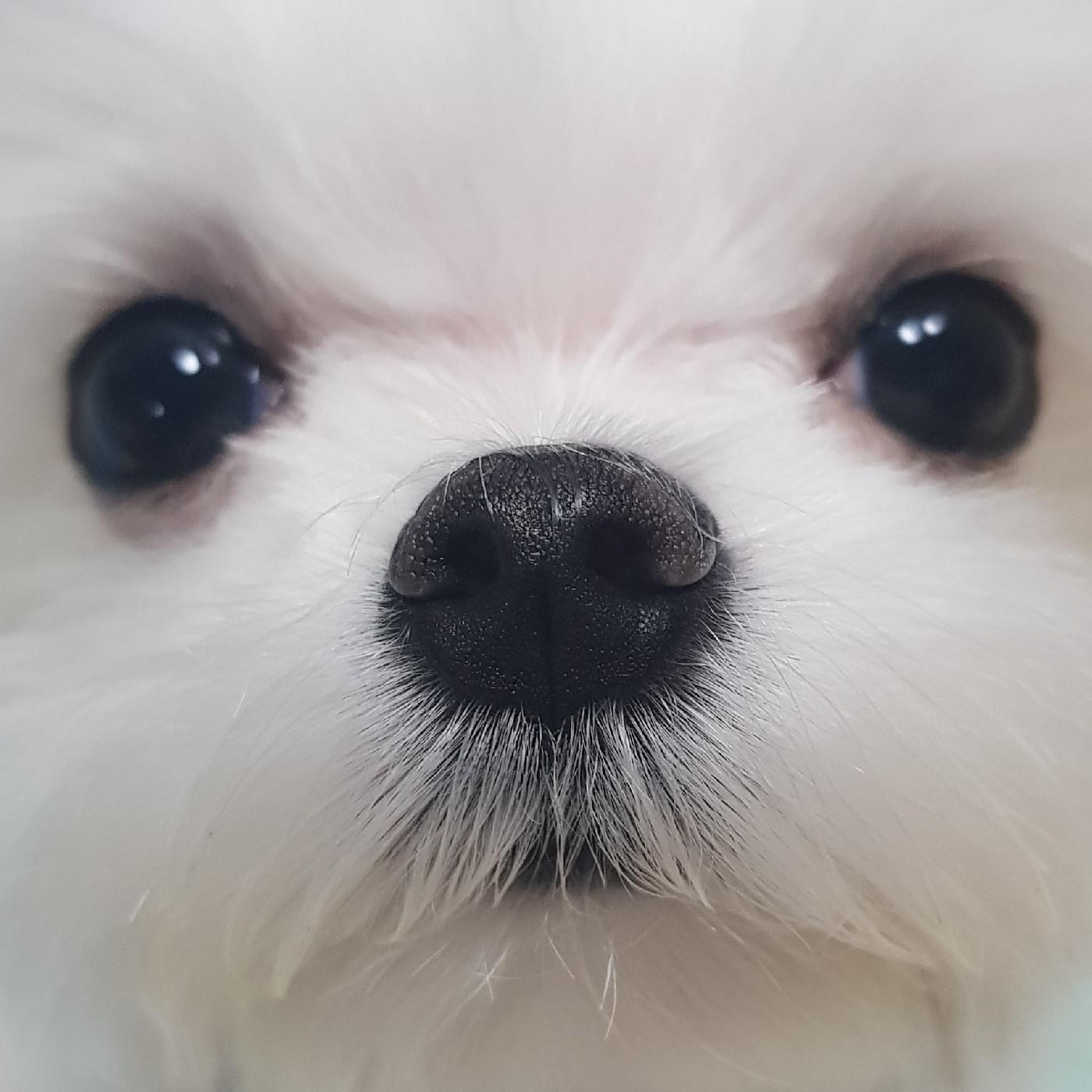 별이언니:) 프로필