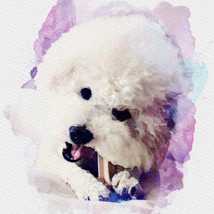 리뷰어 프로필