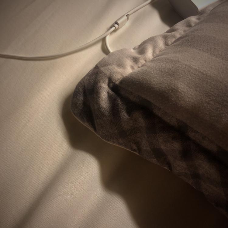 진벚꽃 프로필