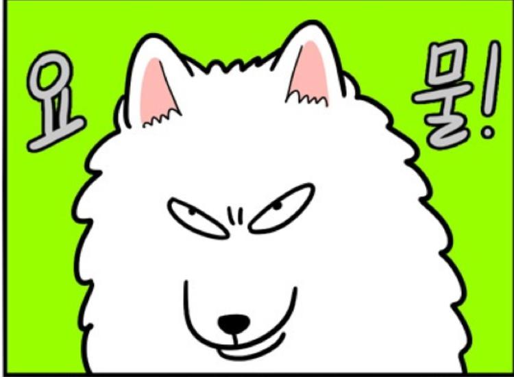 쏭쏭22 프로필