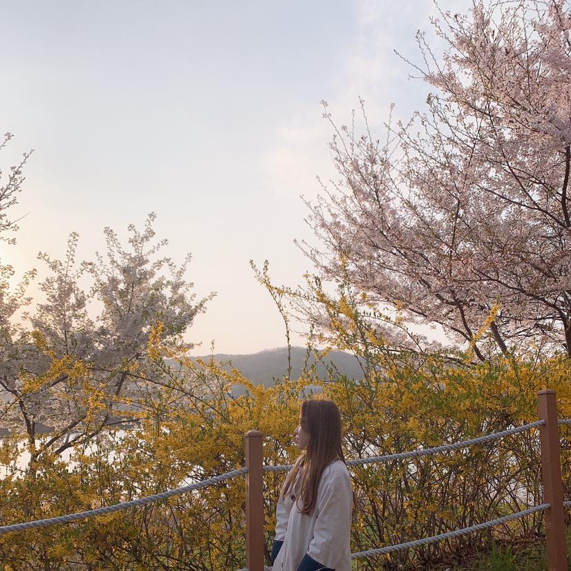 연하 프로필