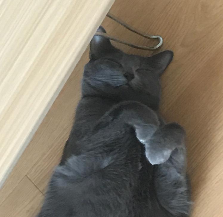 곰신율찡 프로필
