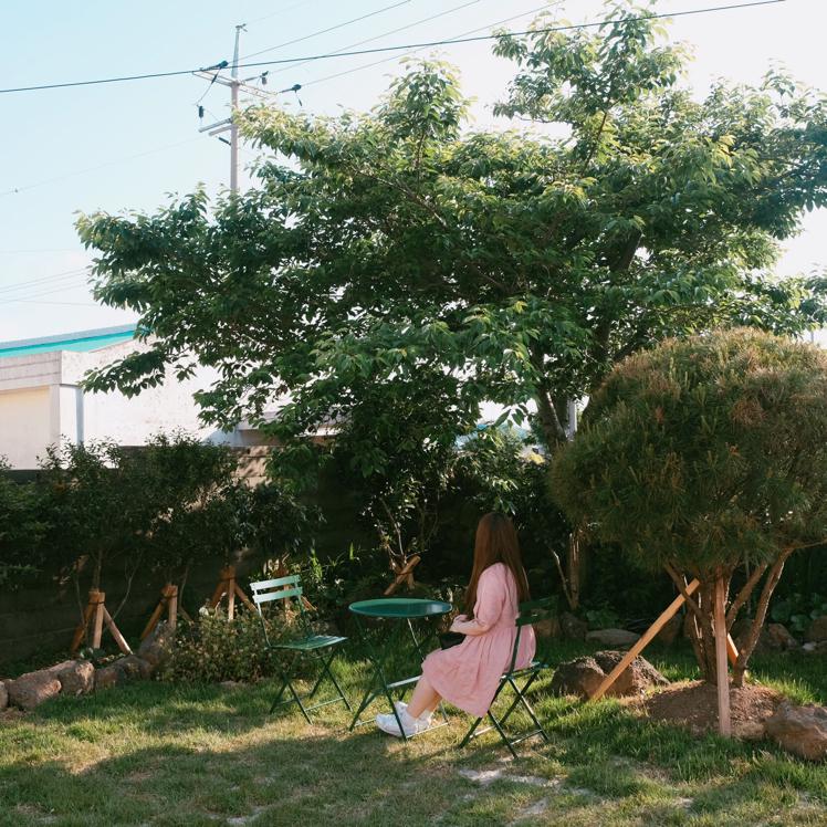 szjszh 프로필
