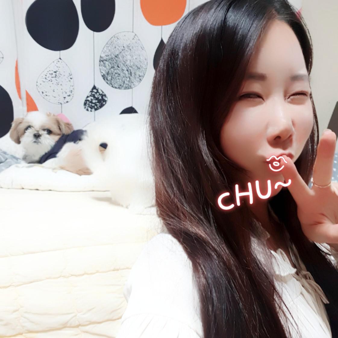 곰쥬 프로필