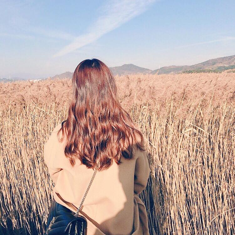 빙그레빙그레 프로필