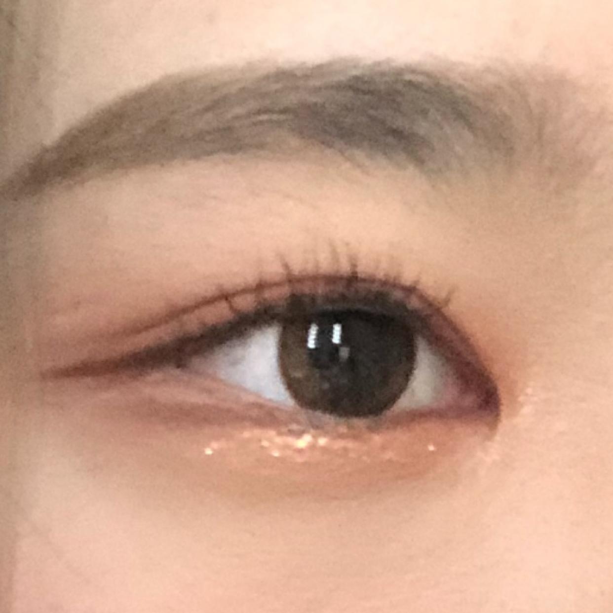 도딧 프로필