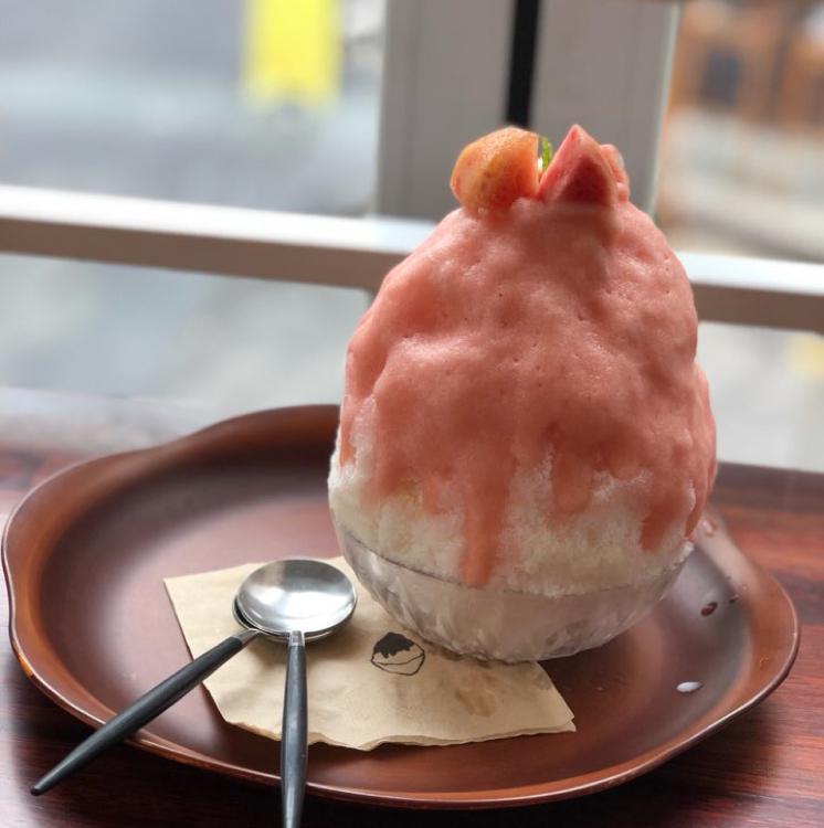 쏘피ㅣ 프로필
