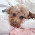 ㅈㄹㅁㅇ