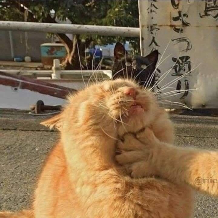 리뷰어 프로필