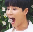 지아아님