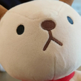양슌양순