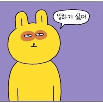 이연상 프로필