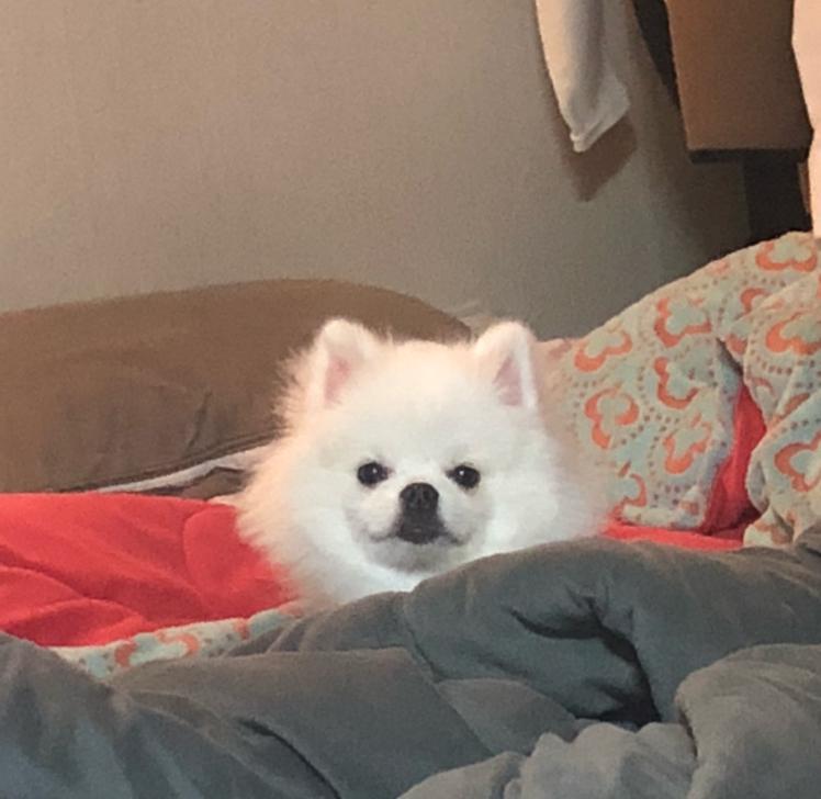 러블민 프로필