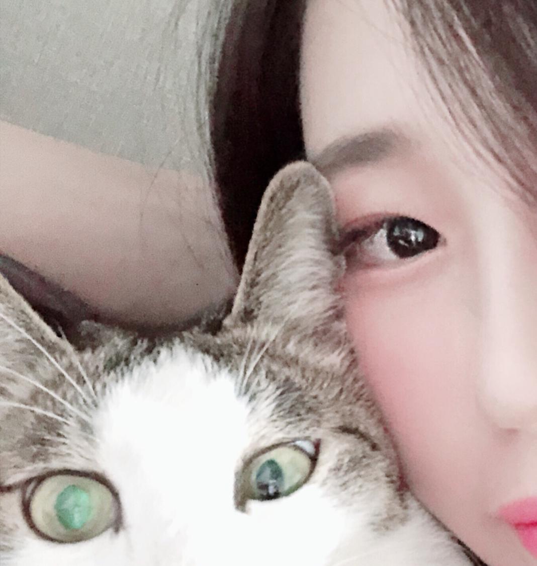 이도 프로필