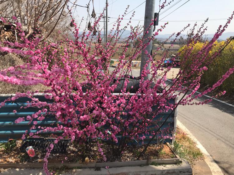 sk00429 프로필