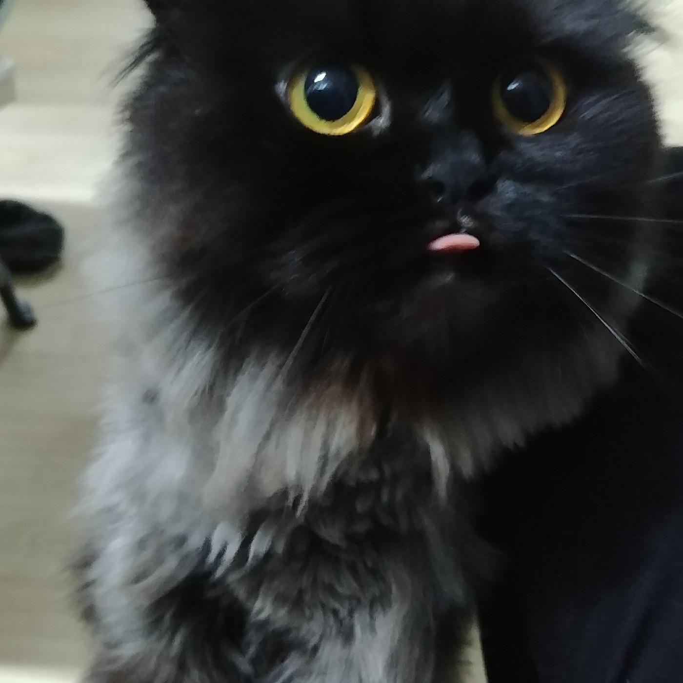 clearly 프로필