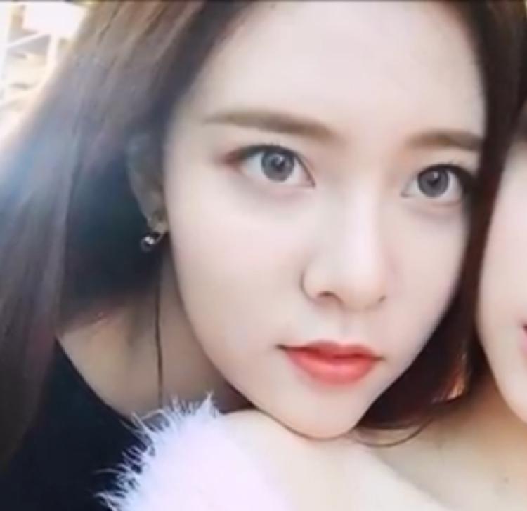 소프트파인 프로필