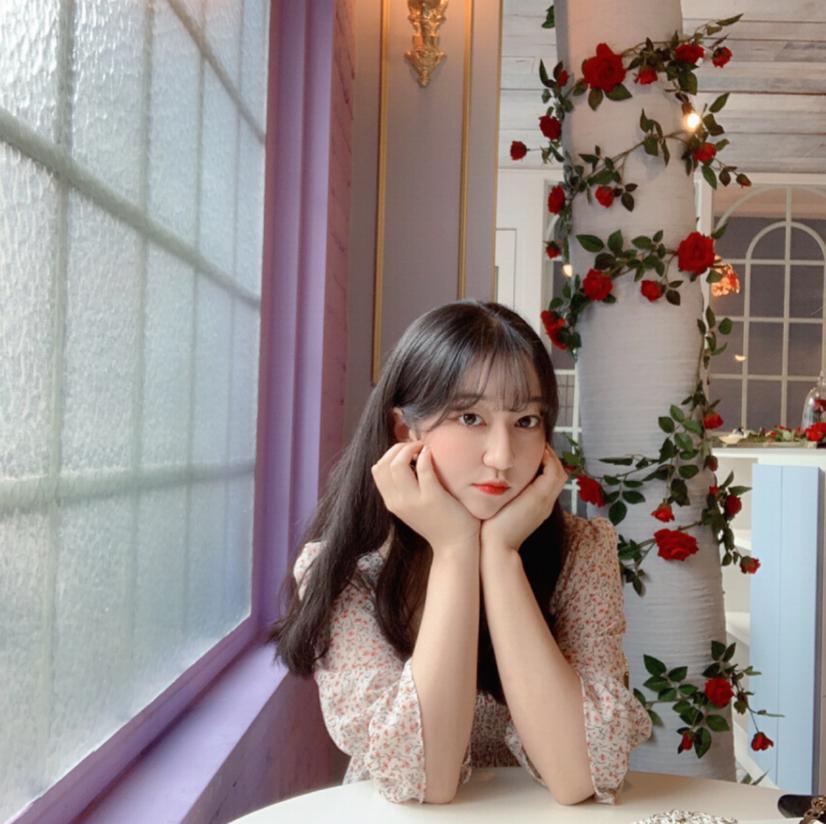 핑예 프로필