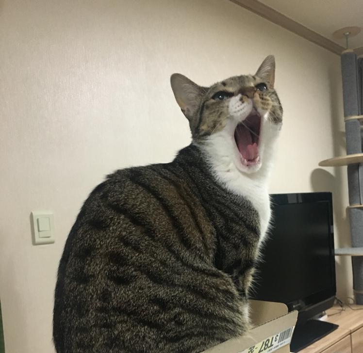 chloeee 프로필