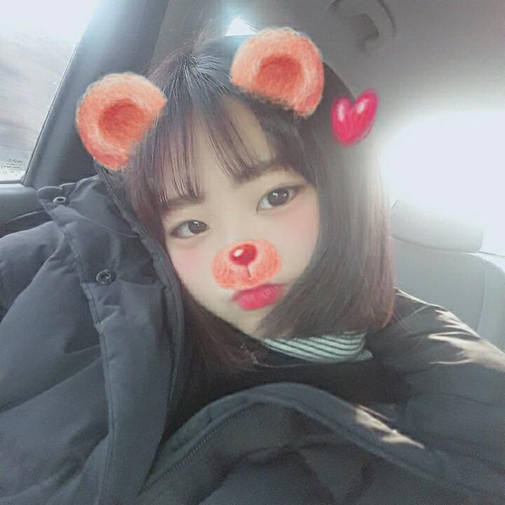 didalswl 프로필