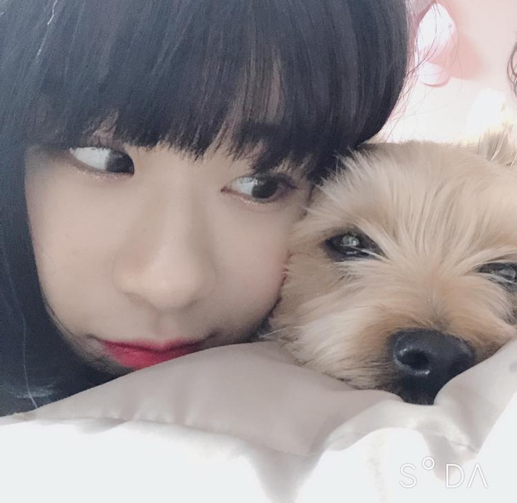 문옌이 프로필