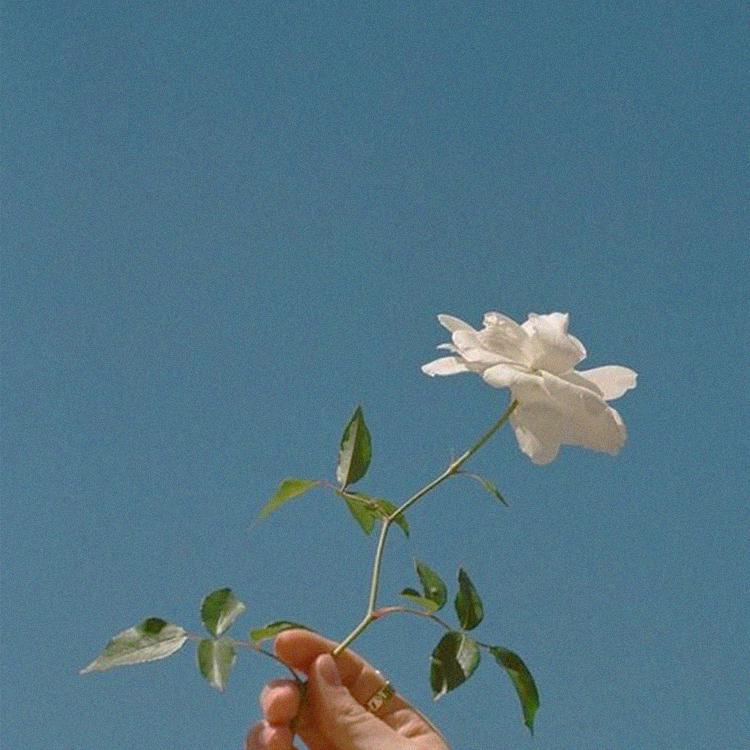 hjy005 프로필