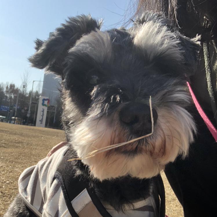 슛돌이엄마 프로필