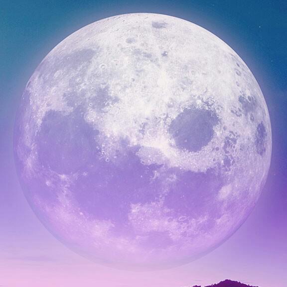 케잌 프로필