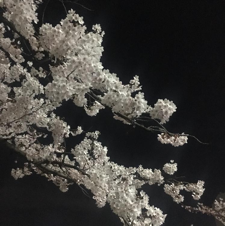 으억 프로필