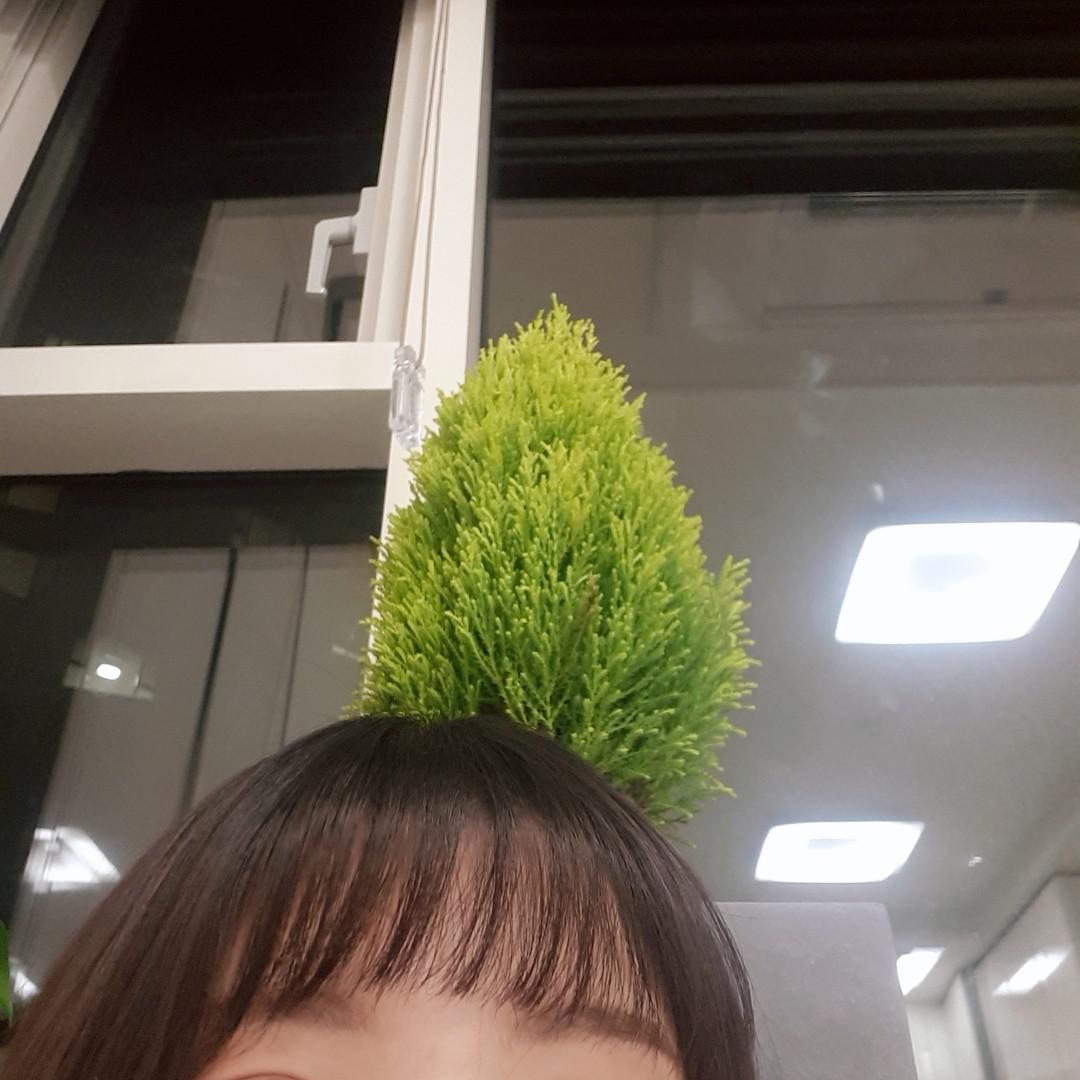 천사thfl 프로필