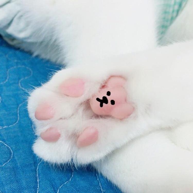 리뷰어 프로필