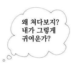 유물개 프로필