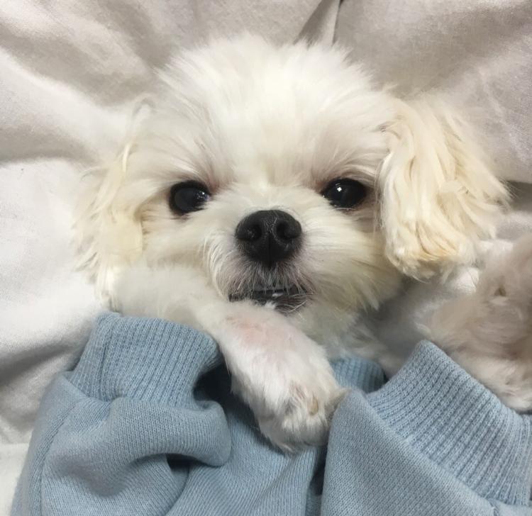 리뷰어 프로필