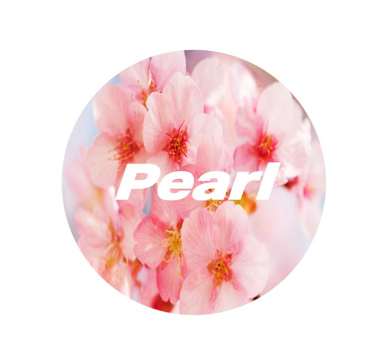 쪼펄 프로필