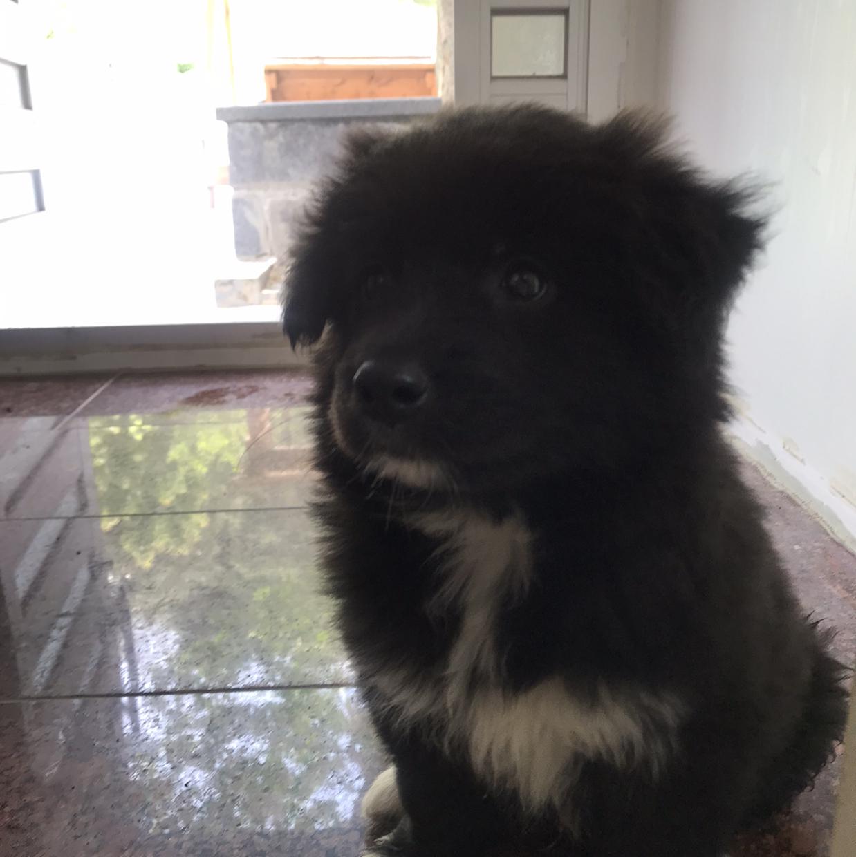 Fanda 프로필