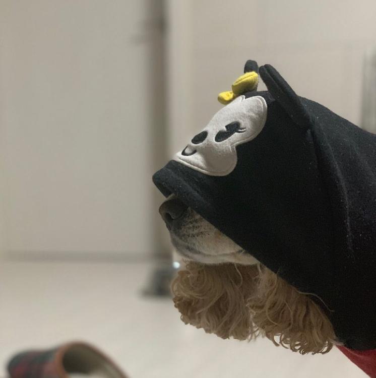 솔콩솔콩 프로필