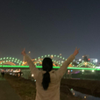 다미담담