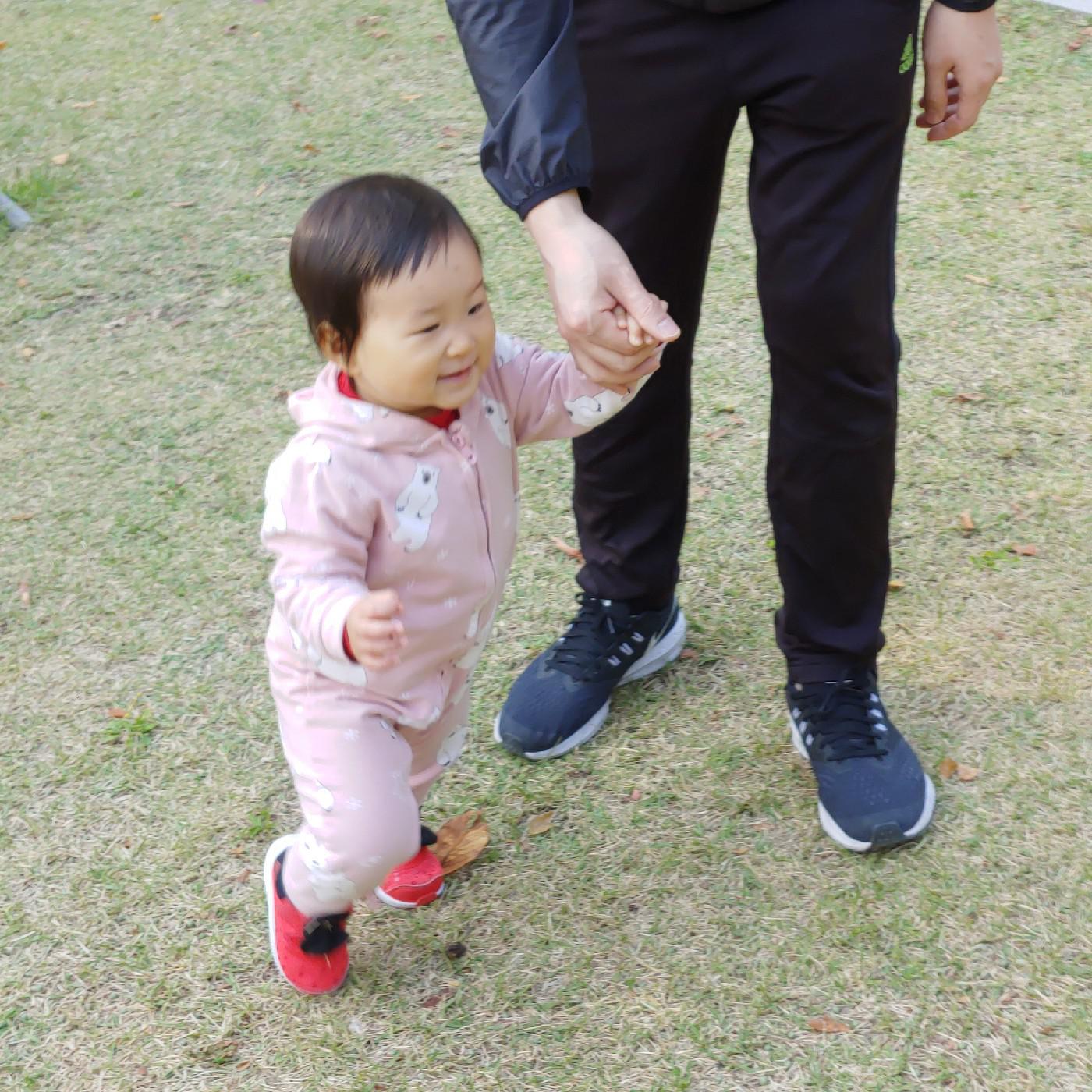 도도네집사 프로필