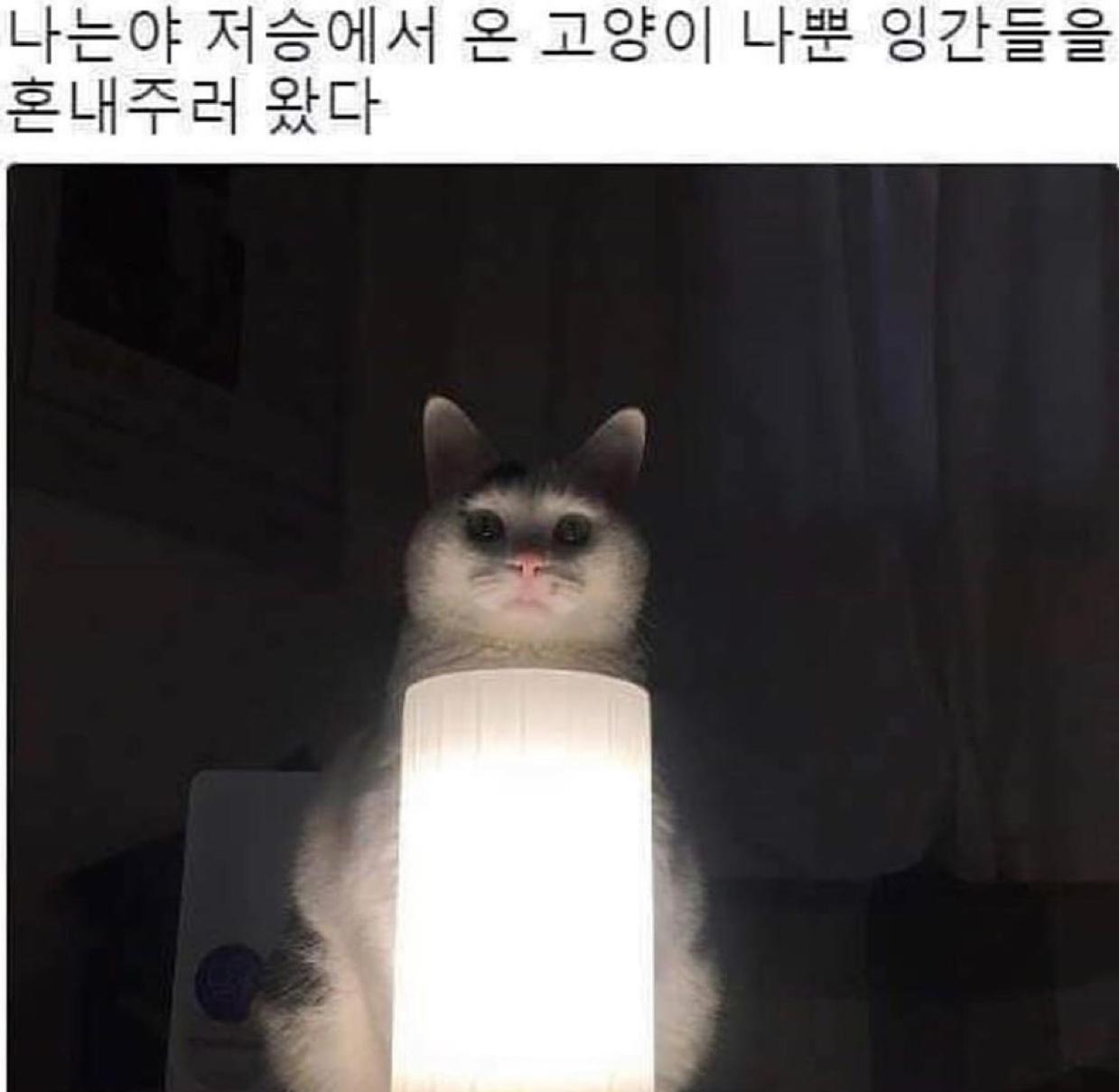 Adorable_ 프로필