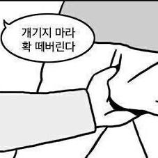 개시바견 프로필