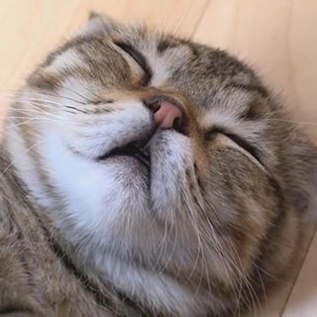 므에엥 프로필