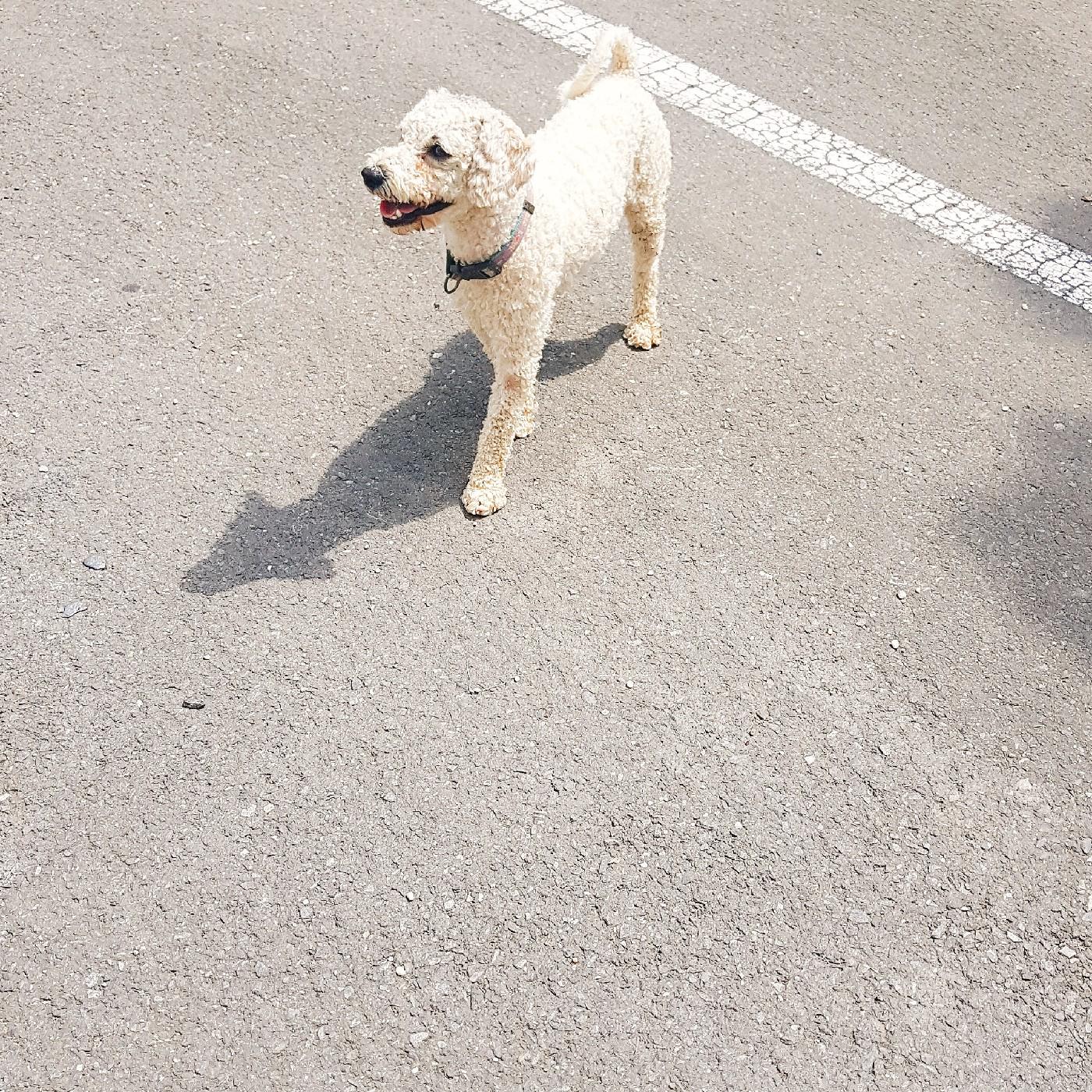 슬아n 프로필