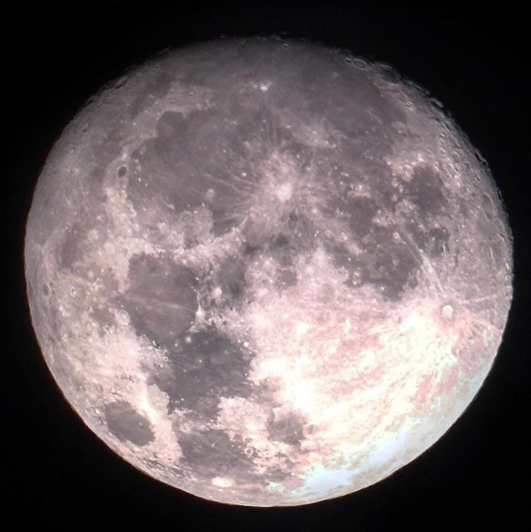 가나쵸코렡 프로필