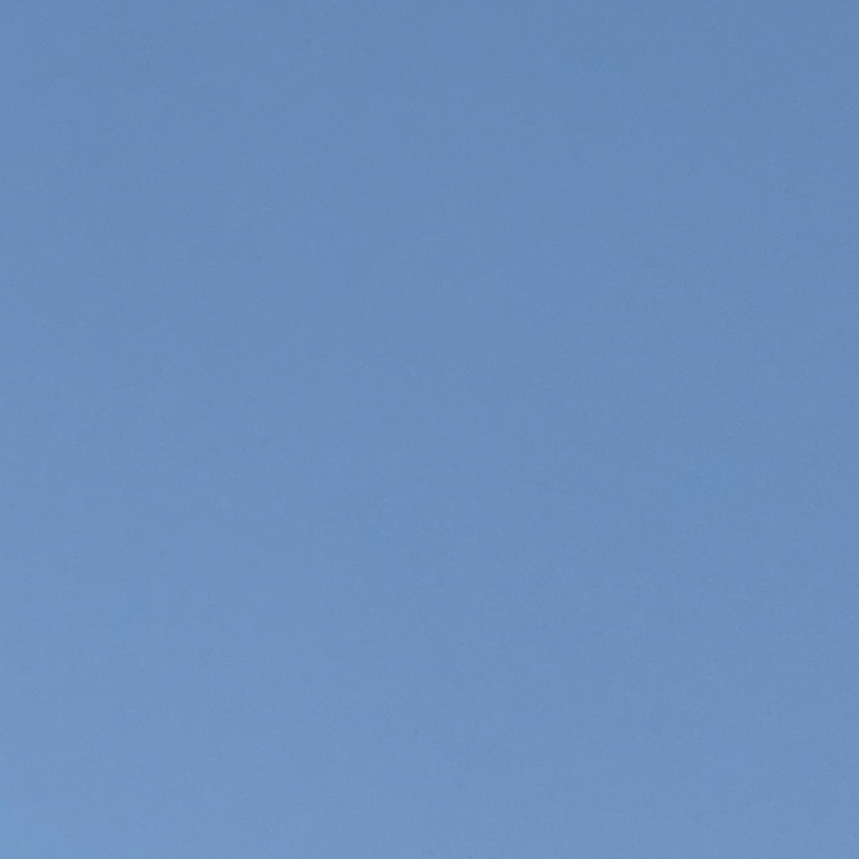 윙키키 프로필