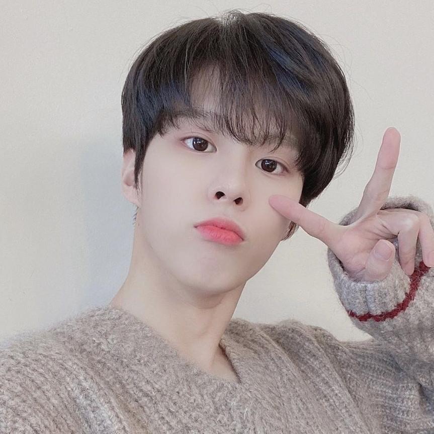 기초만하는애 프로필