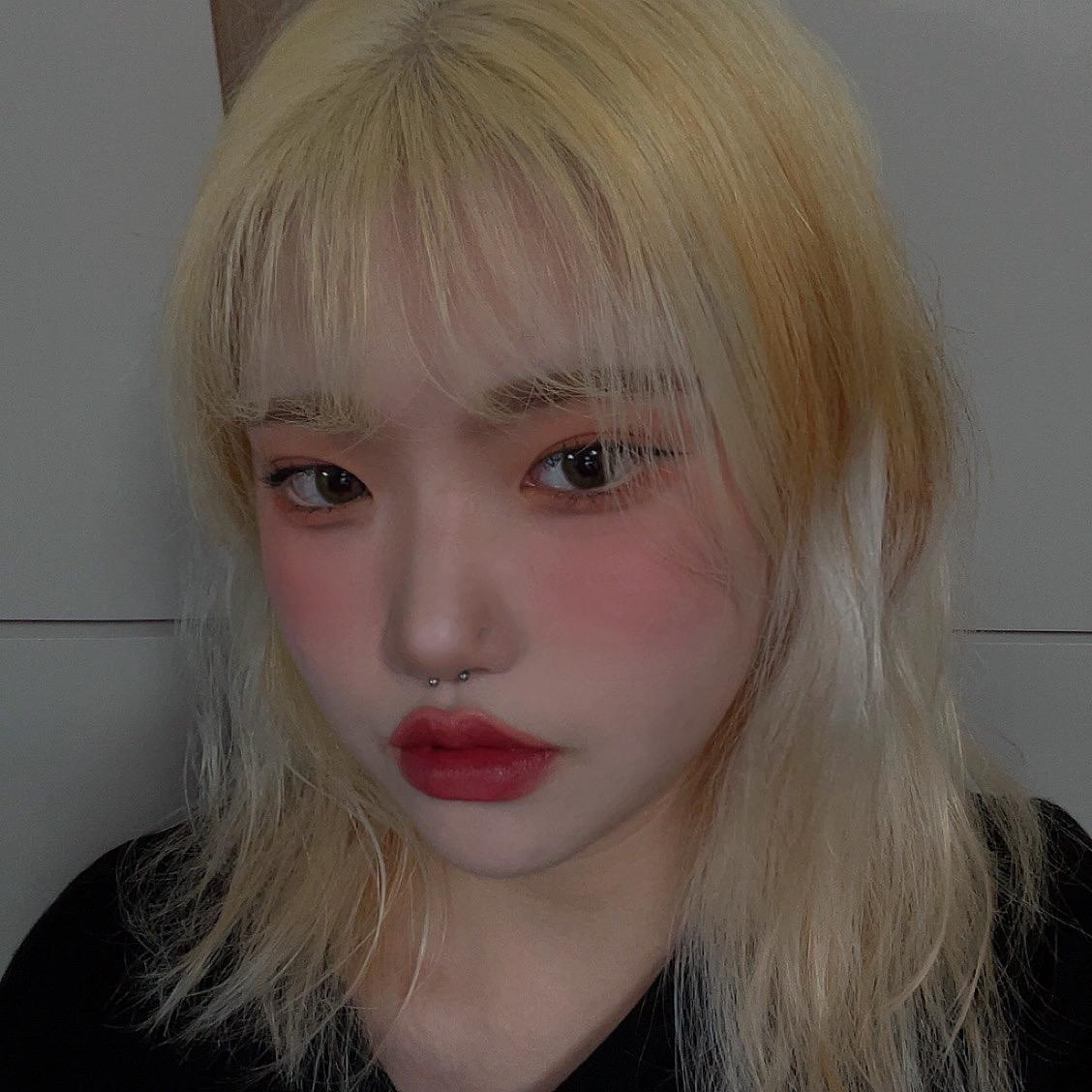 스농 프로필
