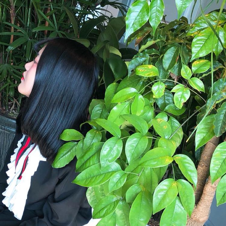 비월님 프로필