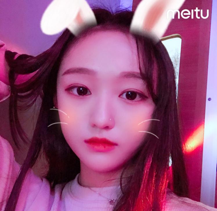 손가인 프로필