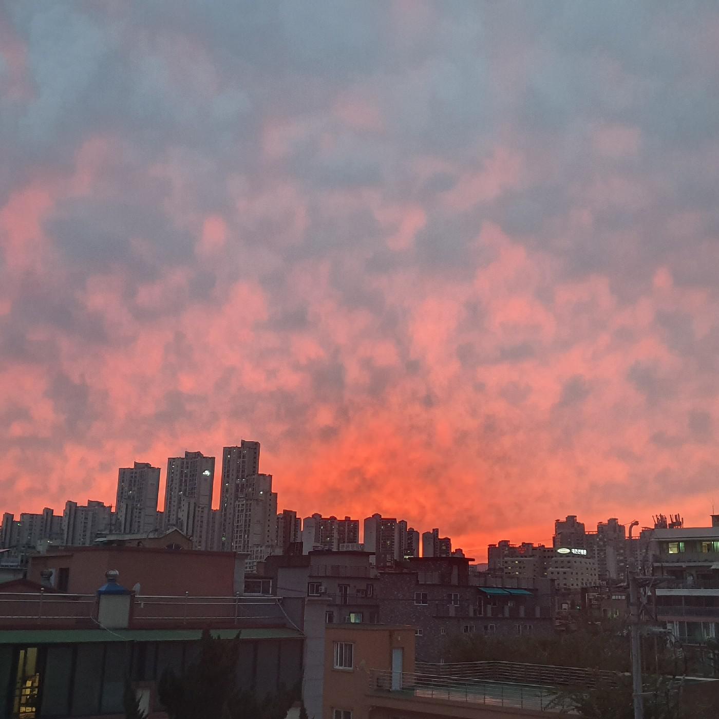 닉네임이란다 프로필